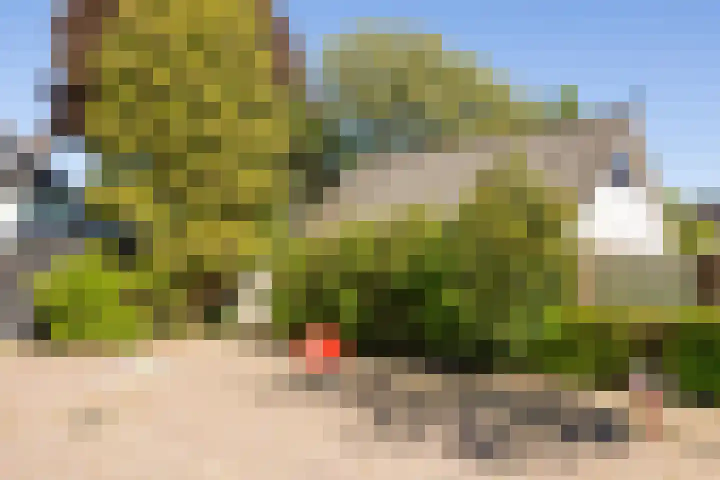 De Rietzanger 6 Sint-Michielsgestel thumbnail 38