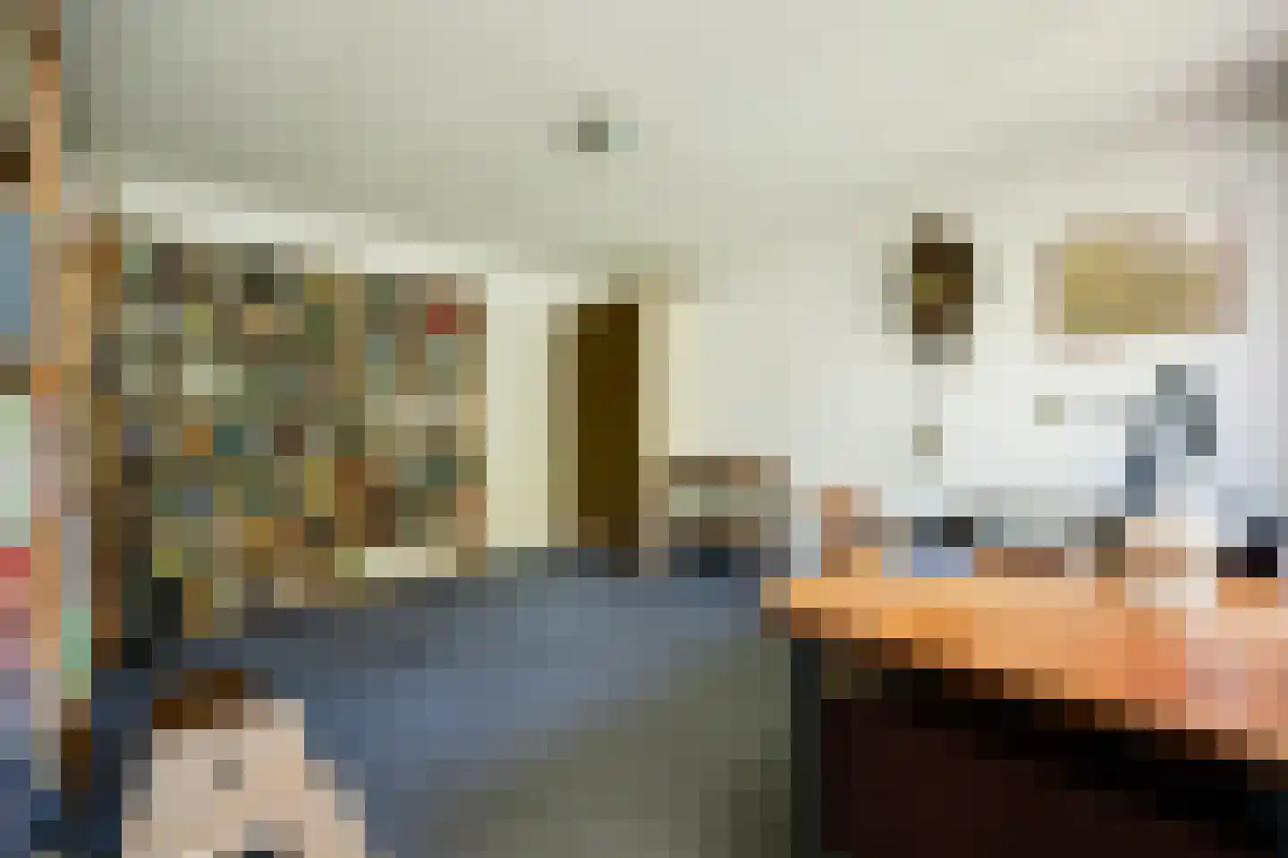 De Rietzanger 6 Sint-Michielsgestel thumbnail 44