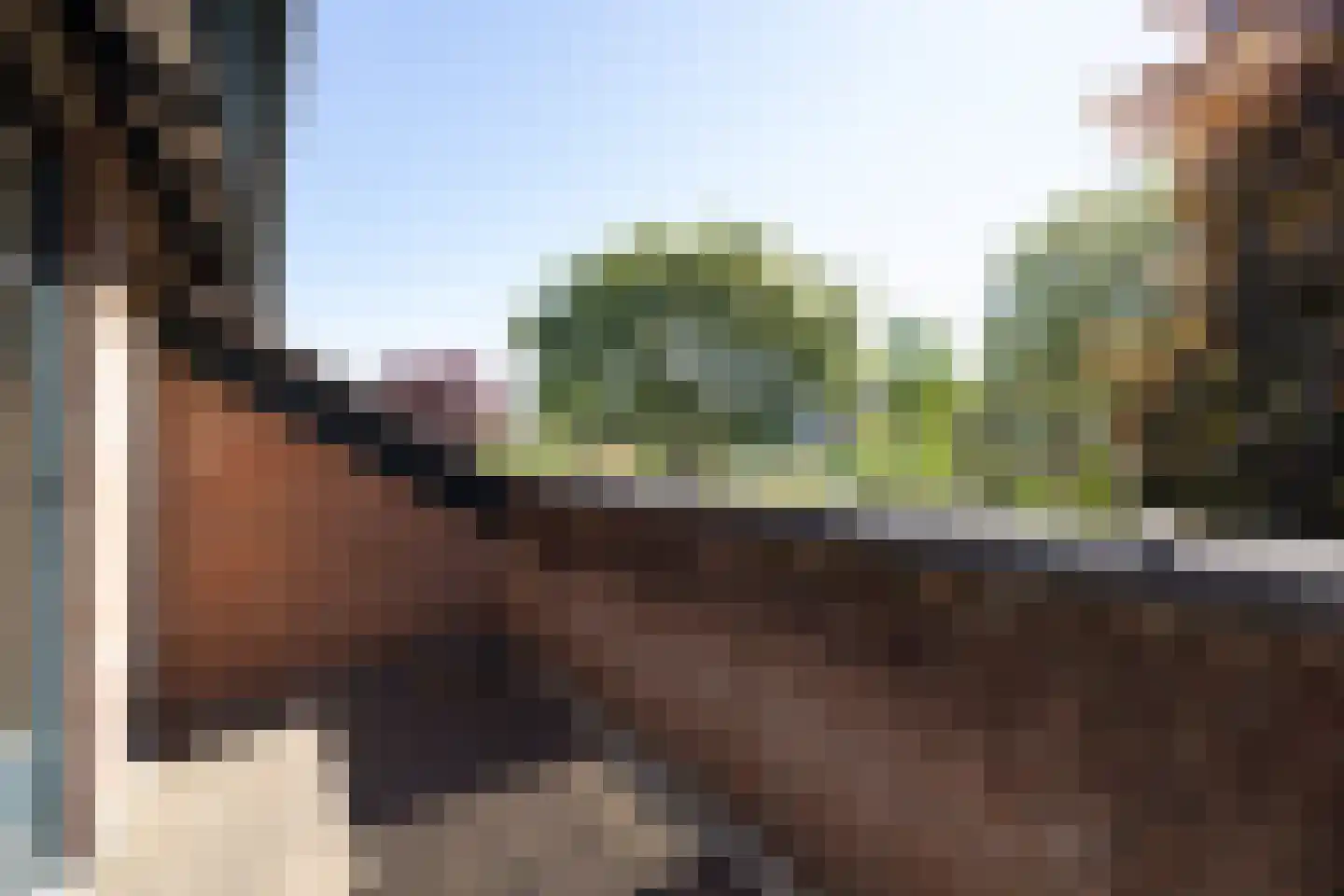 De Rietzanger 6 Sint-Michielsgestel thumbnail 47