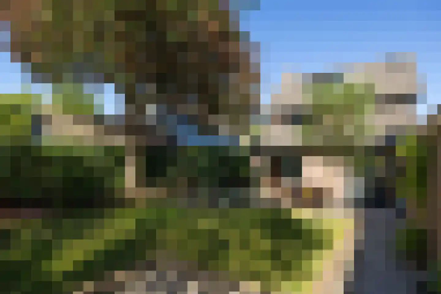 De Rietzanger 6 Sint-Michielsgestel thumbnail 5
