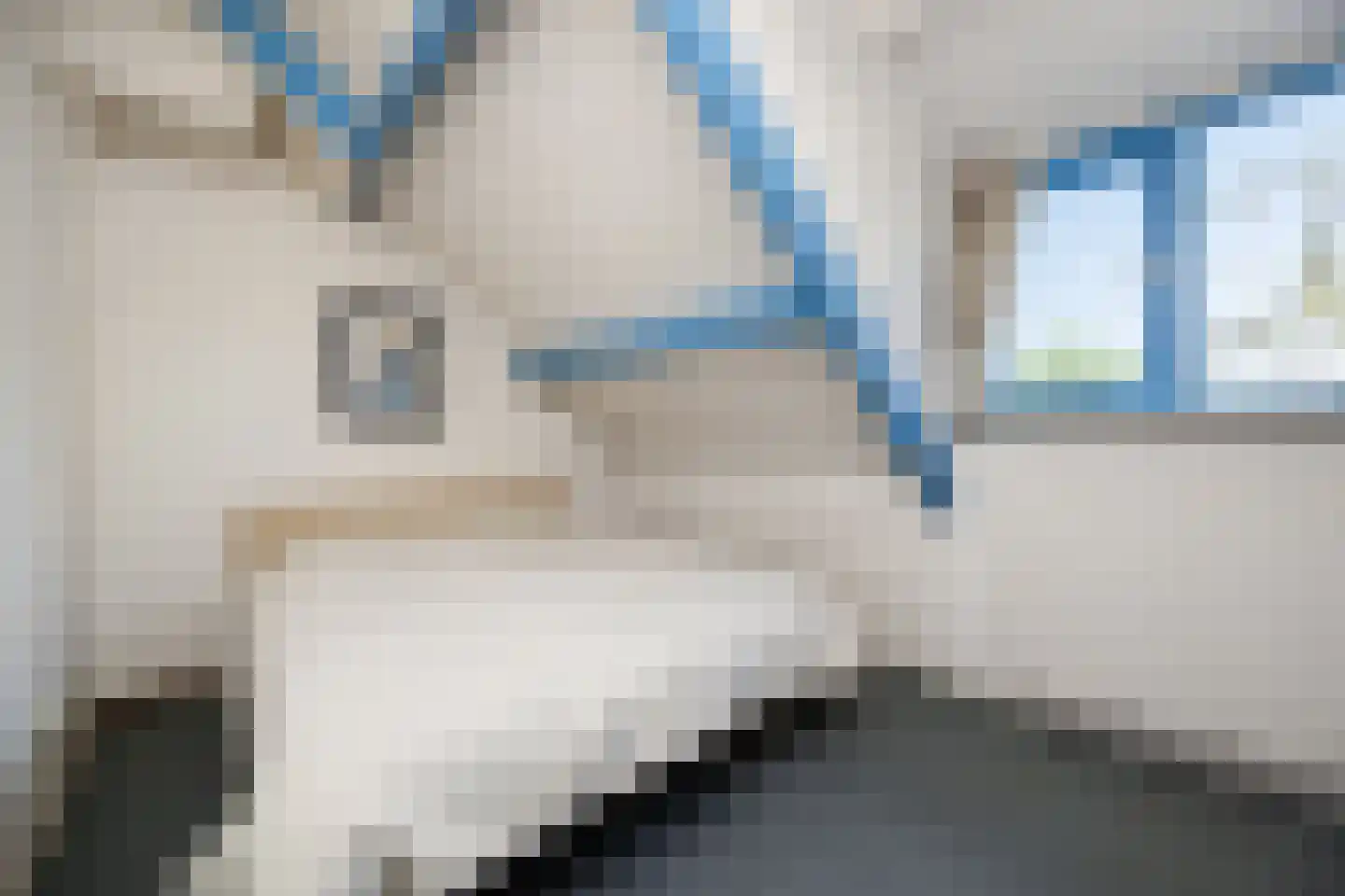 De Rietzanger 6 Sint-Michielsgestel thumbnail 55