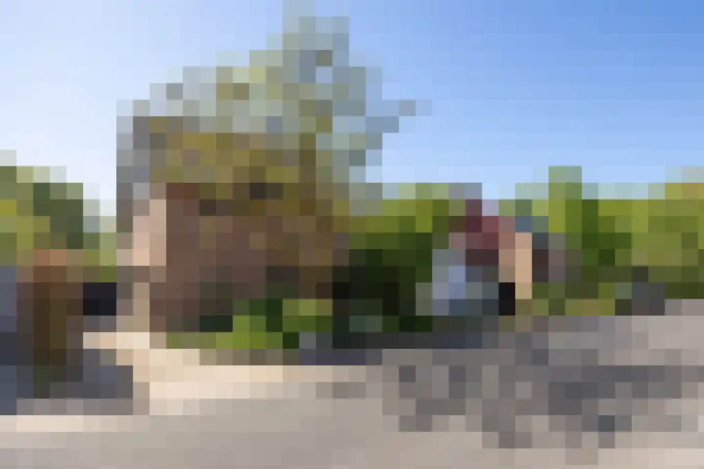 De Rietzanger 6 Sint-Michielsgestel thumbnail 8
