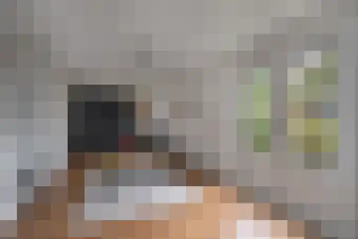 De Rietzanger 8 Sint-Michielsgestel thumbnail 12