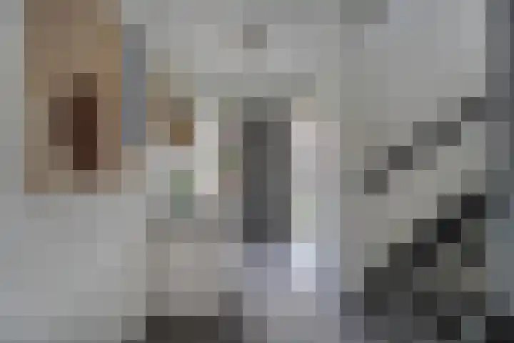 De Rietzanger 8 Sint-Michielsgestel thumbnail 14