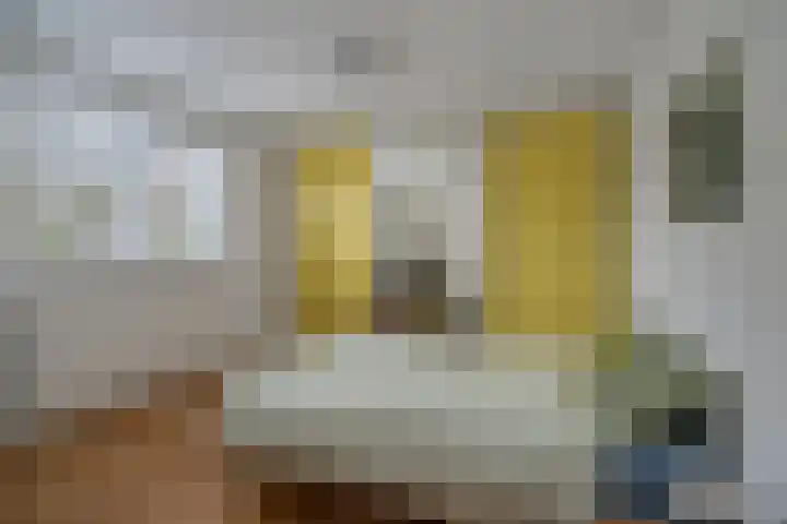 De Rietzanger 8 Sint-Michielsgestel thumbnail 15