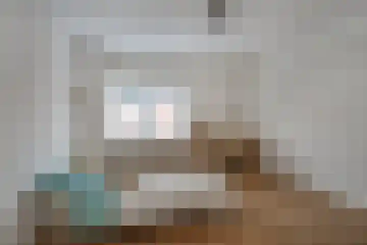 De Rietzanger 8 Sint-Michielsgestel thumbnail 16