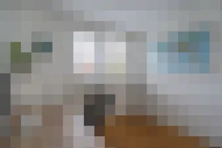 De Rietzanger 8 Sint-Michielsgestel thumbnail 17