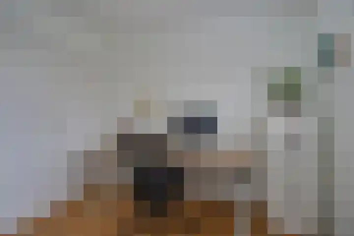 De Rietzanger 8 Sint-Michielsgestel thumbnail 18