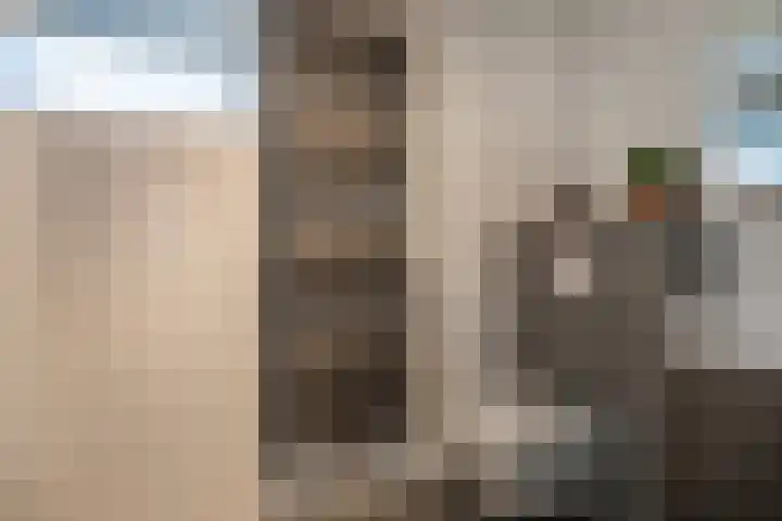 De Rietzanger 8 Sint-Michielsgestel thumbnail 20