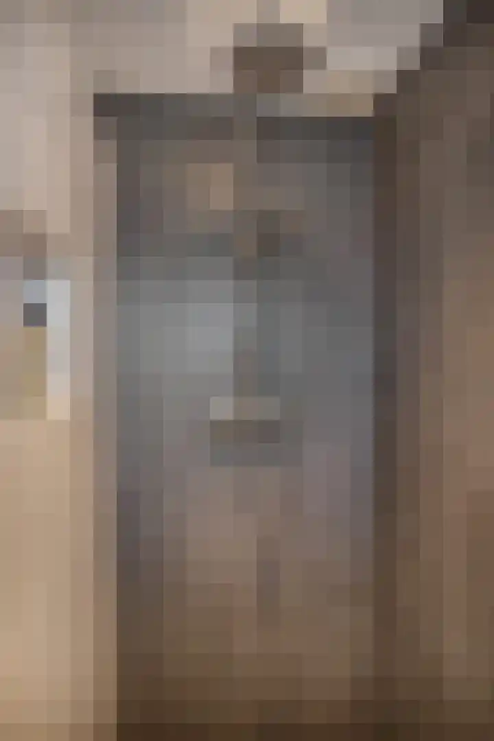 De Rietzanger 8 Sint-Michielsgestel thumbnail 21