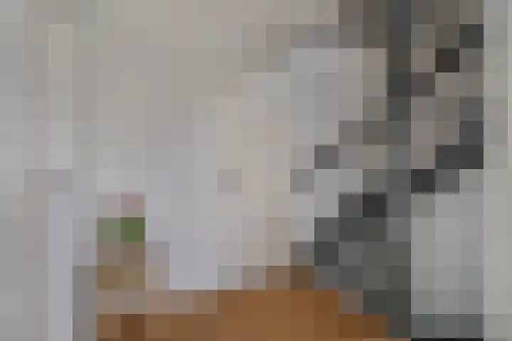 De Rietzanger 8 Sint-Michielsgestel thumbnail 22