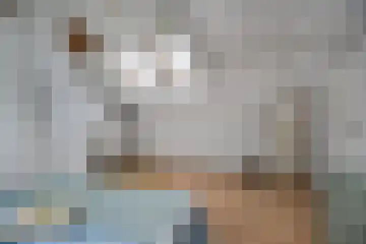 De Rietzanger 8 Sint-Michielsgestel thumbnail 24