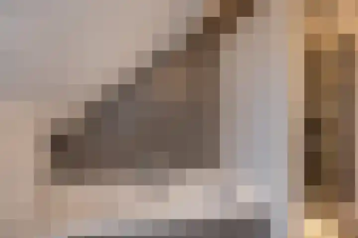 De Rietzanger 8 Sint-Michielsgestel thumbnail 27