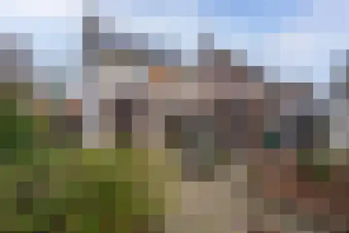 De Rietzanger 8 Sint-Michielsgestel thumbnail 29