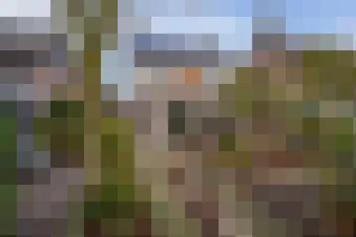 De Rietzanger 8 Sint-Michielsgestel thumbnail 31