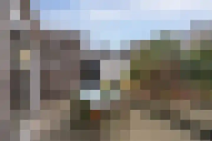 De Rietzanger 8 Sint-Michielsgestel thumbnail 32