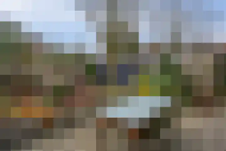 De Rietzanger 8 Sint-Michielsgestel thumbnail 33