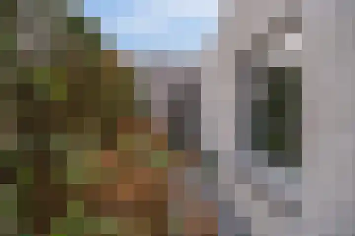 De Rietzanger 8 Sint-Michielsgestel thumbnail 34