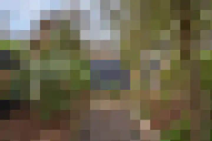 De Rietzanger 8 Sint-Michielsgestel thumbnail 35