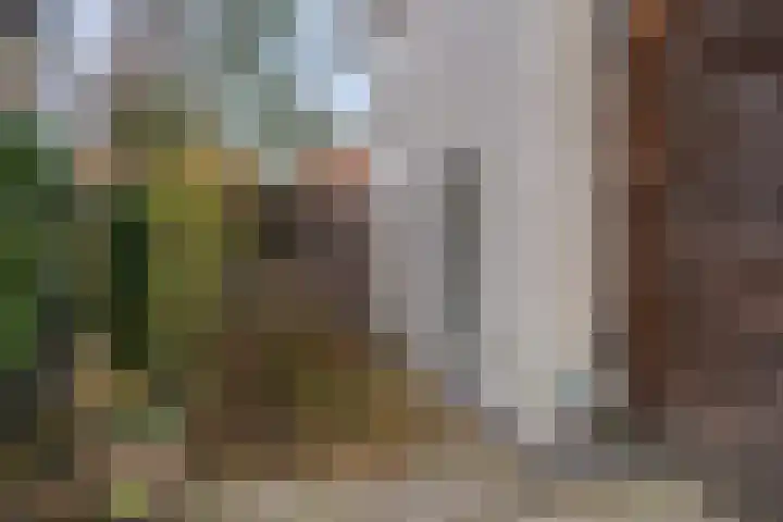 De Rietzanger 8 Sint-Michielsgestel thumbnail 36