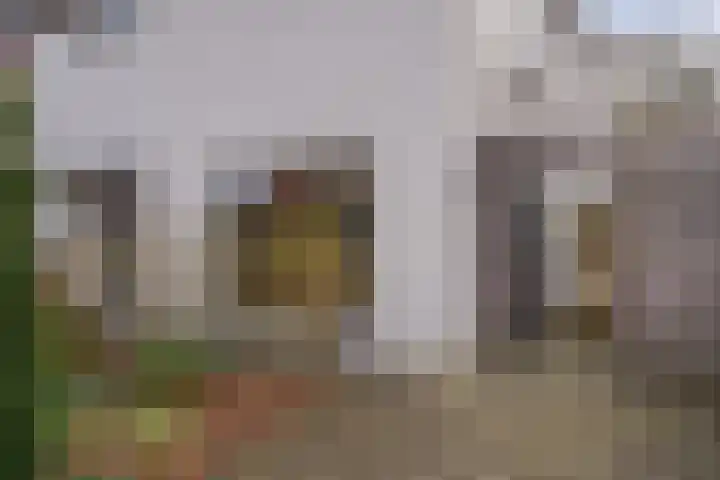 De Rietzanger 8 Sint-Michielsgestel thumbnail 37