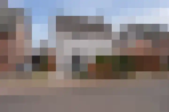 De Rietzanger 8 Sint-Michielsgestel thumbnail 39