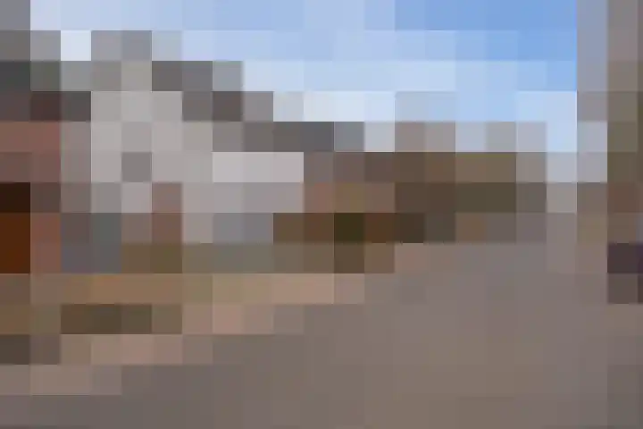 De Rietzanger 8 Sint-Michielsgestel thumbnail 40