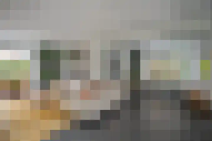 De Rietzanger 8 Sint-Michielsgestel thumbnail 6