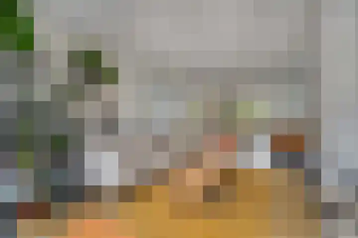 De Rietzanger 8 Sint-Michielsgestel thumbnail 7