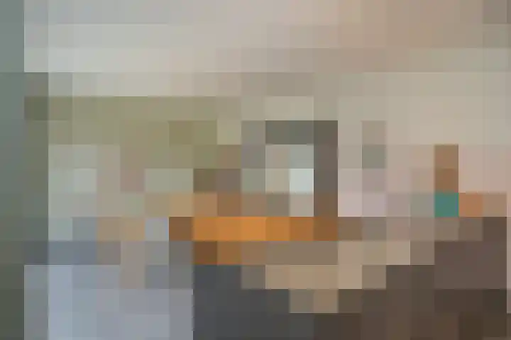 De Rietzanger 8 Sint-Michielsgestel thumbnail 9