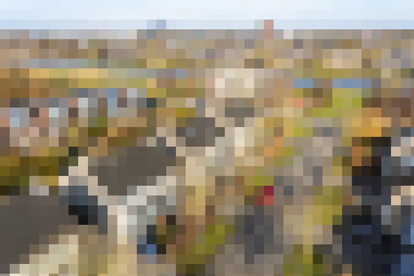 De Rijd 10 Leeuwarden thumbnail 48