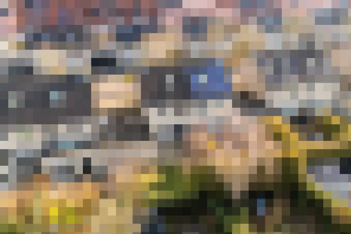 De Rijd 10 Leeuwarden thumbnail 50