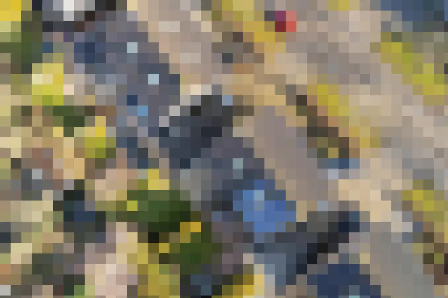 De Rijd 10 Leeuwarden thumbnail 52