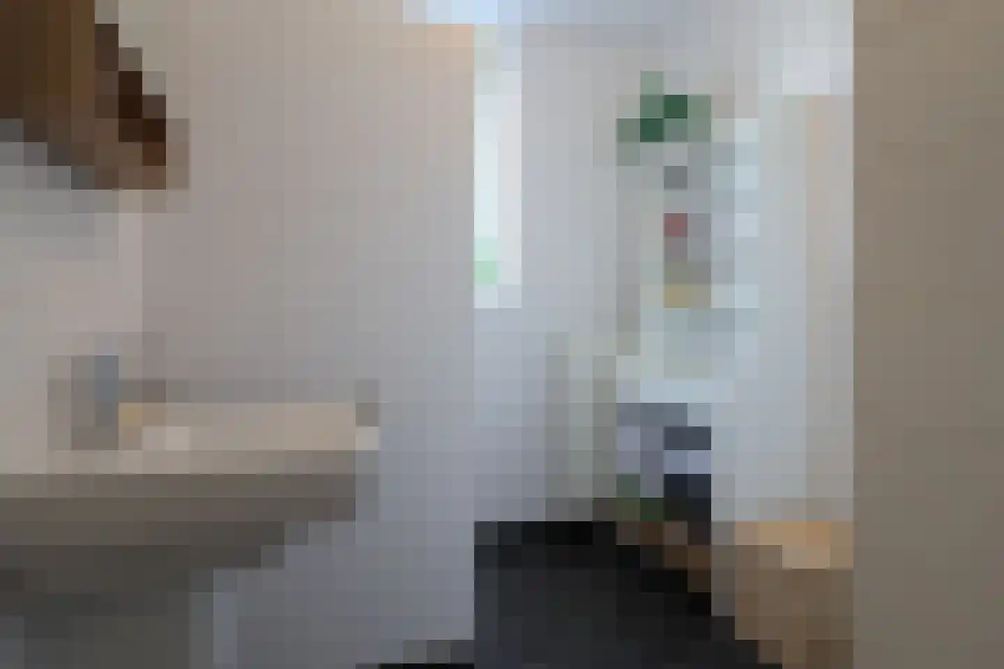 De Rijd 114 a Leeuwarden thumbnail 48