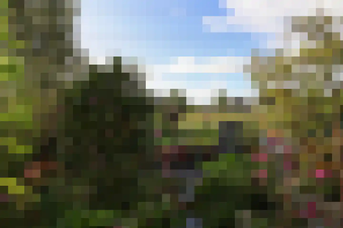 De Rijd 114 a Leeuwarden thumbnail 58