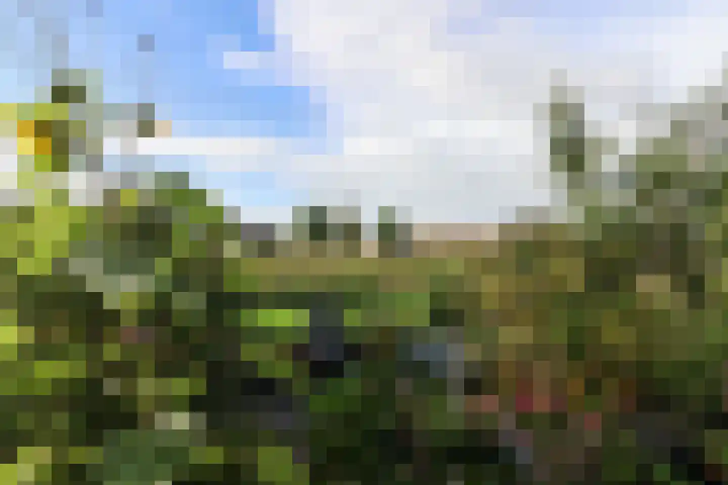 De Rijd 114 a Leeuwarden thumbnail 59