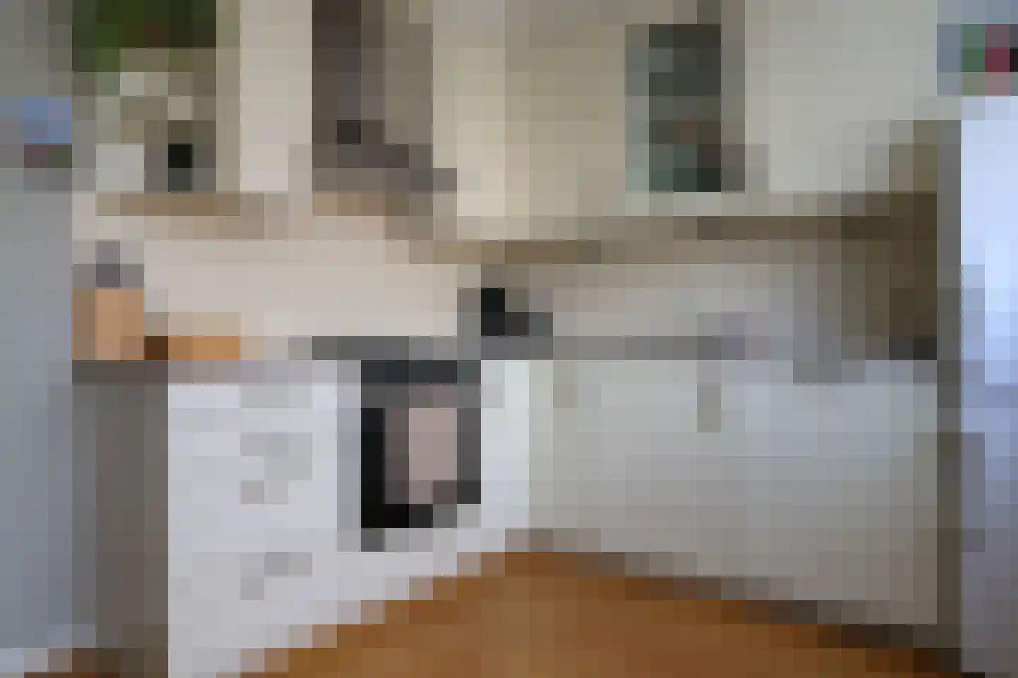 De Rijd 114 a Leeuwarden thumbnail 6