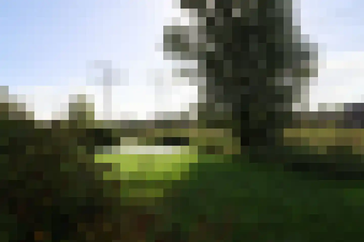 De Rijd 114 a Leeuwarden thumbnail 61