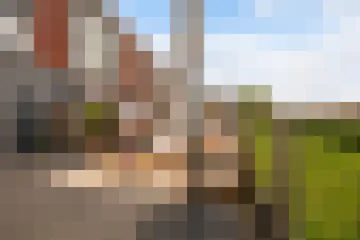 De Rijd 128 Leeuwarden thumbnail 33