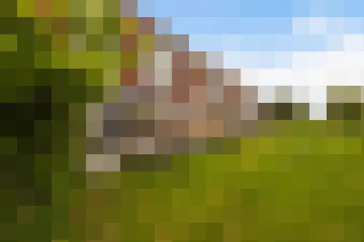 De Rijd 128 Leeuwarden thumbnail 34