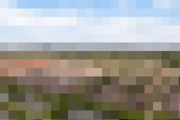 De Rijd 128 Leeuwarden thumbnail 57