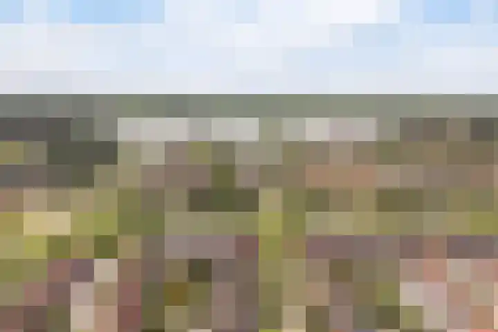 De Rijd 128 Leeuwarden thumbnail 61