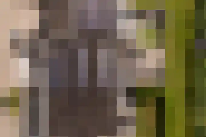 De Rijd 128 Leeuwarden thumbnail 62