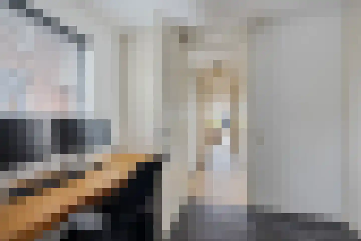 De Rijd 98 Leeuwarden thumbnail 13