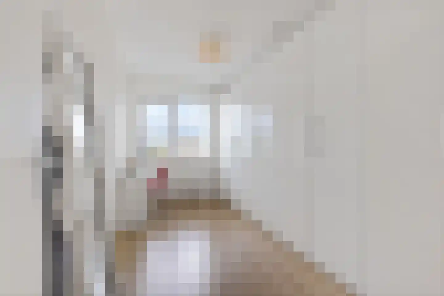 De Rijd 98 Leeuwarden thumbnail 21