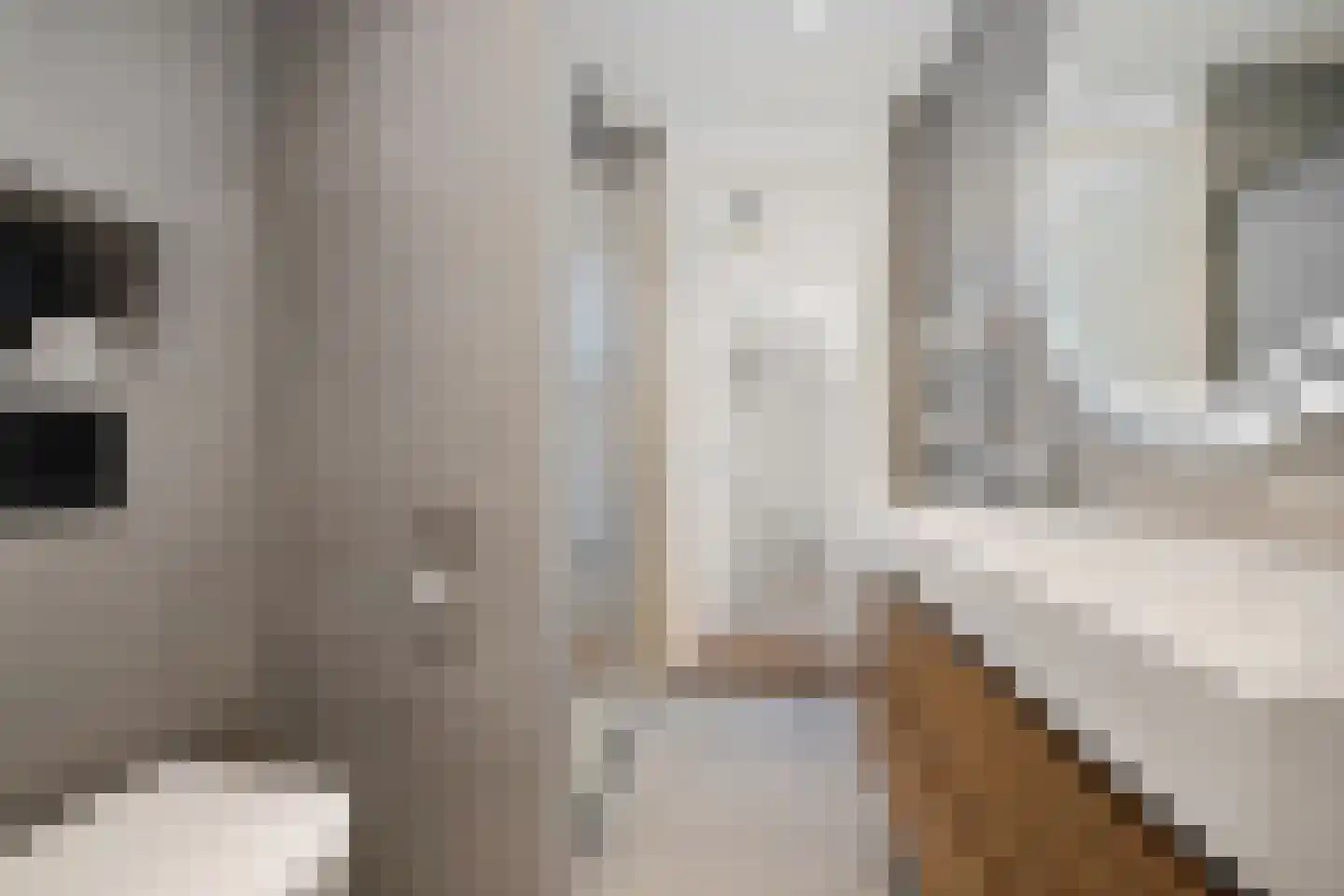 De Rijd 98 Leeuwarden thumbnail 25