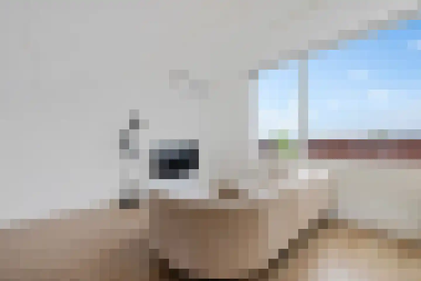 De Rijd 98 Leeuwarden thumbnail 29