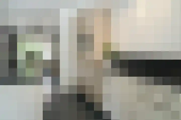 De Rijf 7 Berlicum thumbnail 13