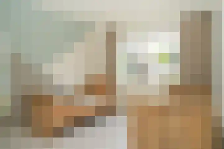 De Rijf 7 Berlicum thumbnail 22