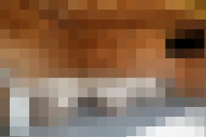 De Rijf 7 Berlicum thumbnail 39